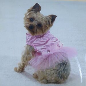 EAST SIDE COLLECTION PINK TUTU PARTY BALLERINA DRESS SIZE SMALL 